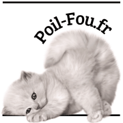 LOGO POIL FOU