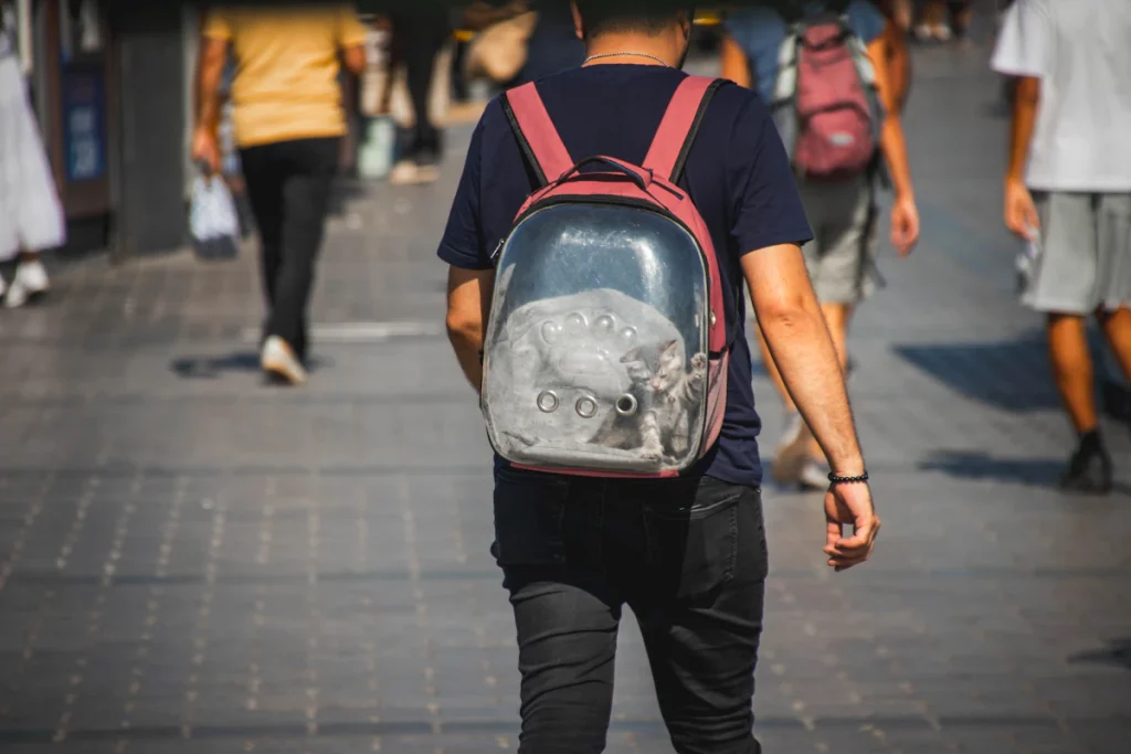 Personne dans la rue portant un sac à dos rose, un chaton installé à l'intérieur