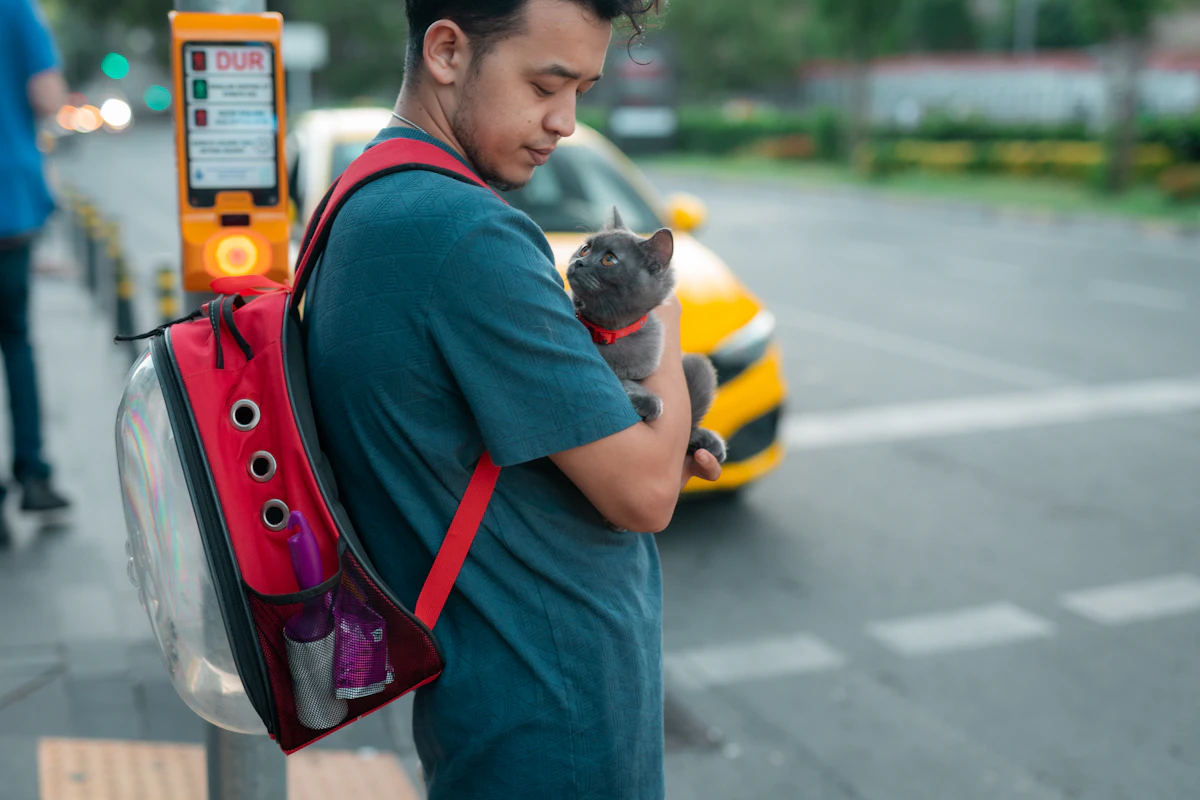 Homme avec un sac à dos rouge qui tient un chat gris dans une rue de la ville