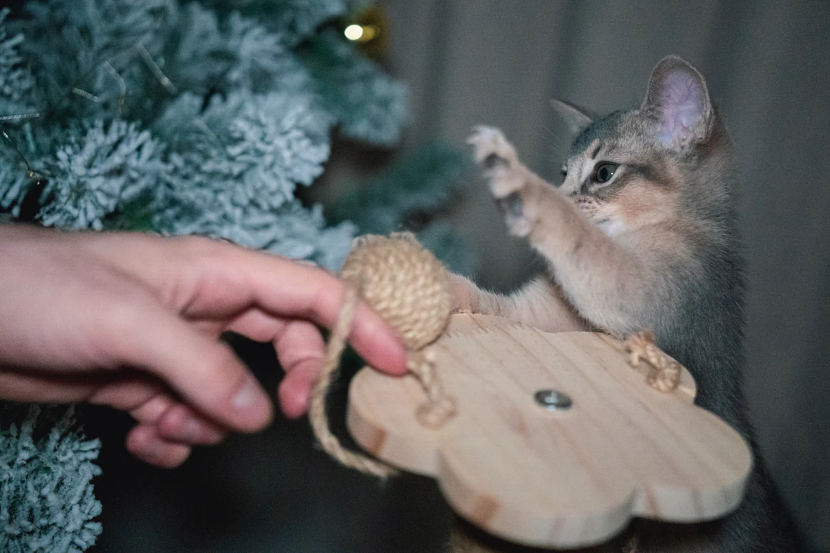 Chaton qui joue avec une souris jouet près d'un sapin de Noël