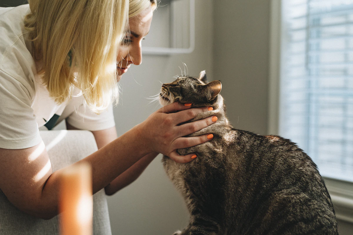 Femme en chemise blanche qui tient dans ses bras un chat tigré brun